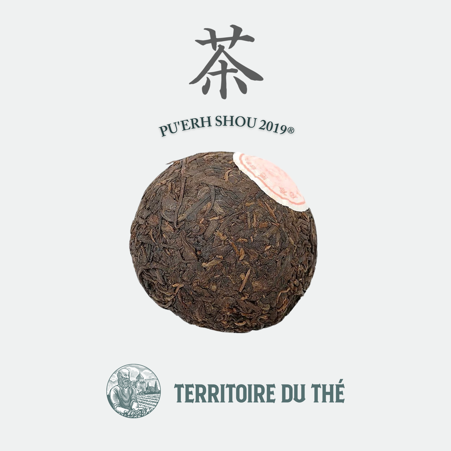 Thé Pu'Erh: Shou 2019