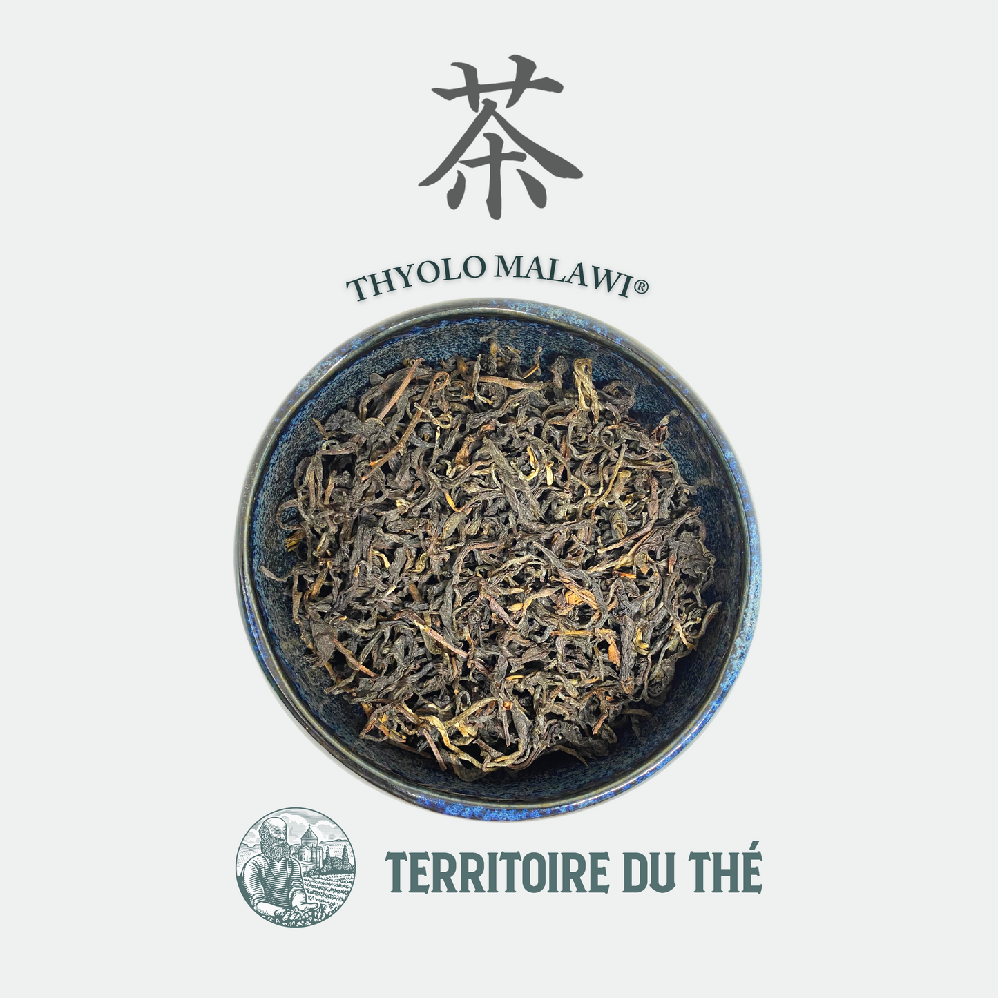 Thé Oolong: Thyolo Malawi